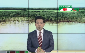 Noakhali 12 hajer hektor boinon