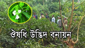 ঔষধি উদ্ভিদ বনায়ন | 2022 | Plantation of Medicinal Forest through SUFAL Project
